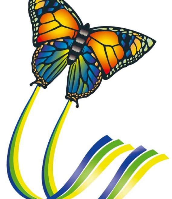 Létající drak Butterfly 95 x 63 cm