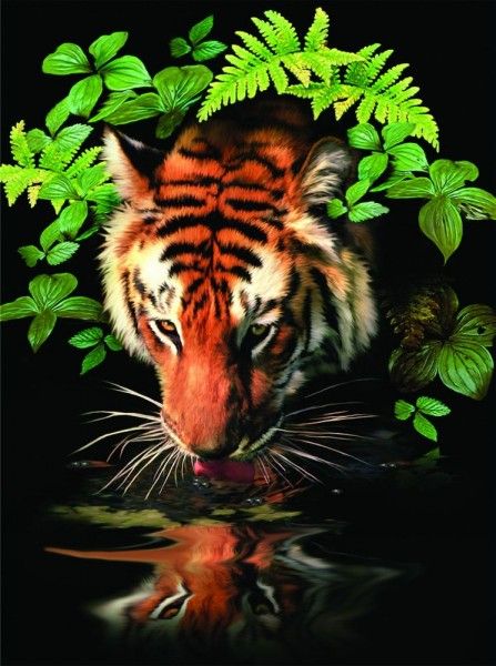 Malování podle čísel Tygr u vody 22x30cm s akrylovými barvami a štětcem na kartě
