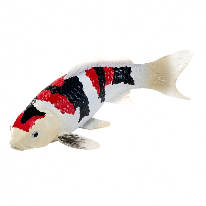 Mojo kapr koi showa sanshoku
