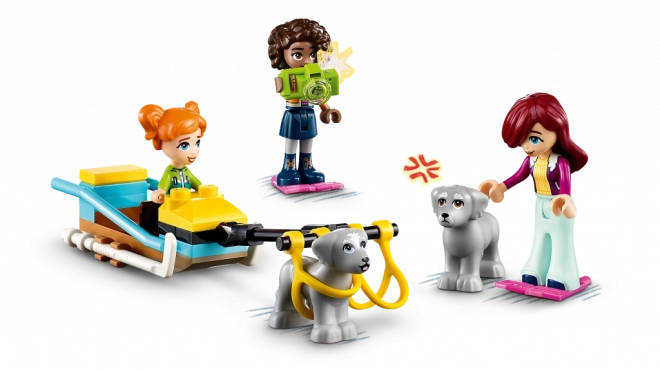 LEGO® Friends 41760 Zimní dobrodružství v iglú