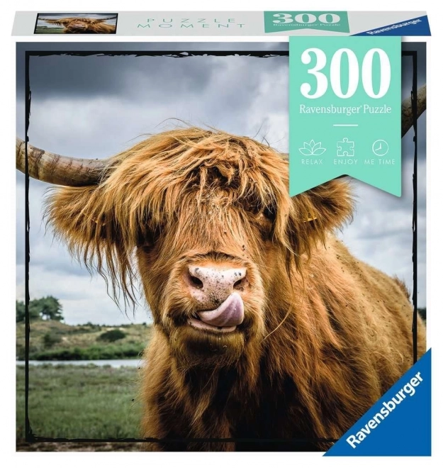 Ravensburger Puzzle Highlandský dobytek 300 dílků