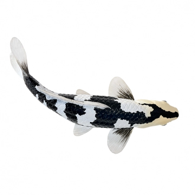 Mojo kapr Koi Shiro Utsuri