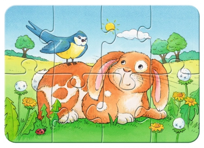 RAVENSBURGER Moje první puzzle Domácí mazlíčci 4v1 (2,4,6,8 dílků)