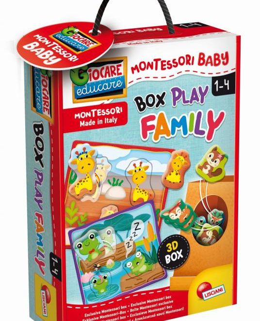 MONTESSORI BABY BOX PLAY FAMILY - Vkládačka mláďátka