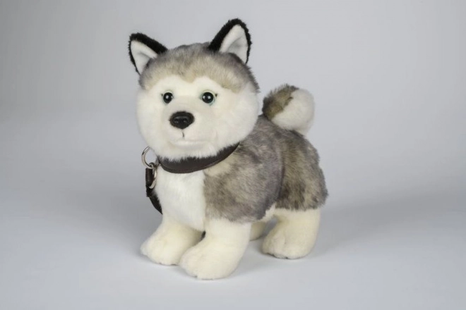 Plyš Husky s vodítkem 25 cm