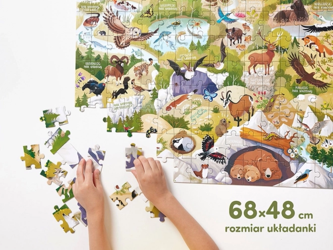 CzuCzu Dziké puzzle národních parků