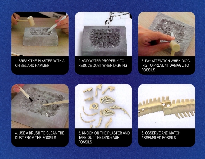 Woopie kreativní hračka kostra dinosaura archeologické vykopávky