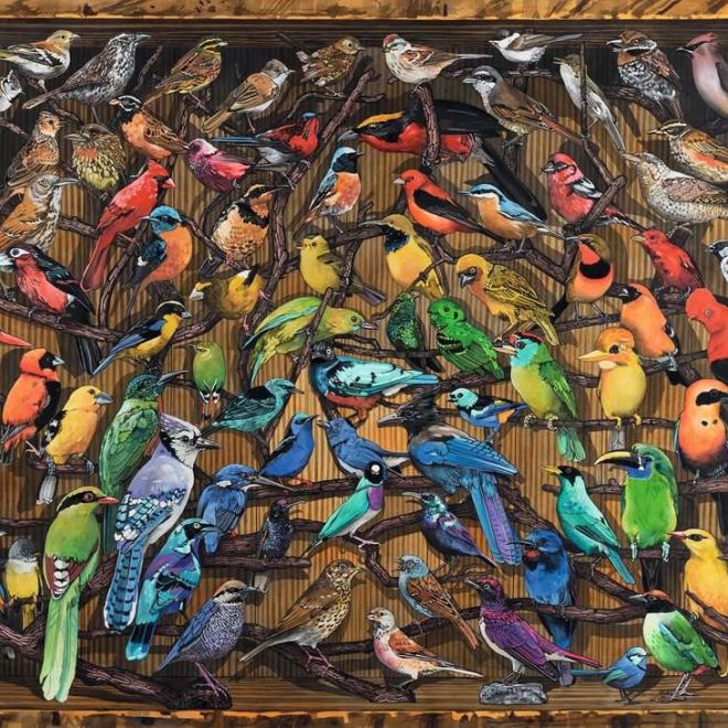 RAVENSBURGER Puzzle Ptáci světa 1000 dílků