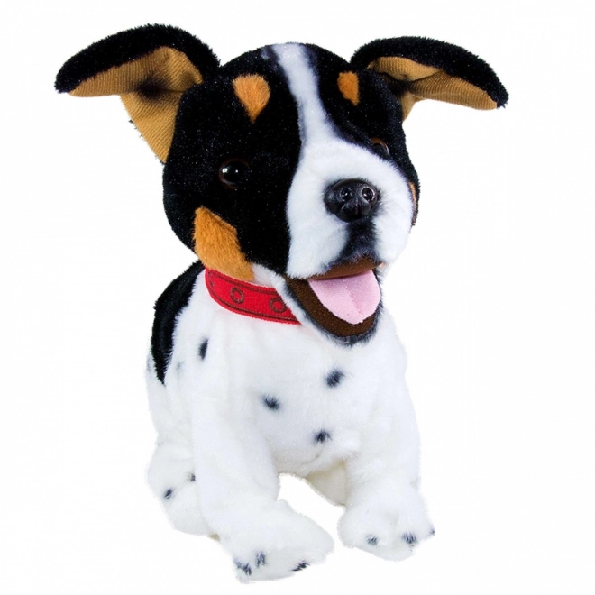 Figo interaktivní maskot Jack Russel Terrier pes reagující na povely