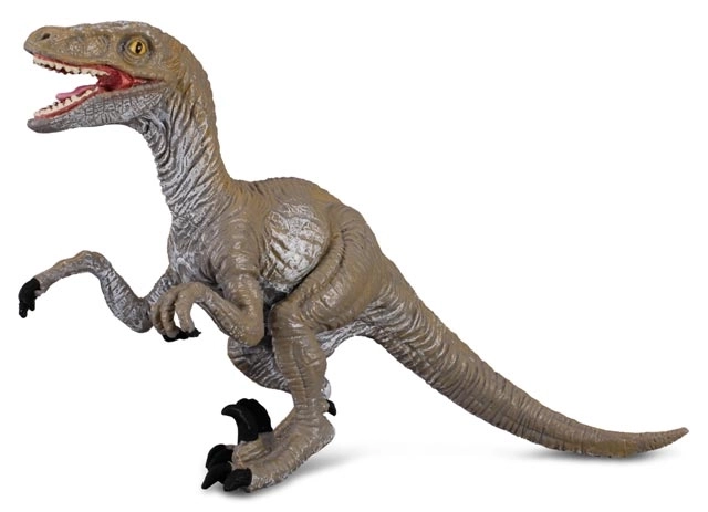 Velociraptor