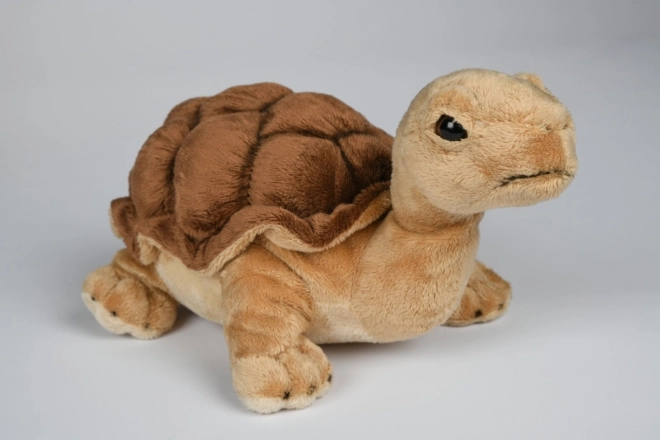 Plyš Želva 32 cm