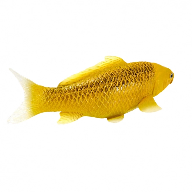 Mojo kapr koi Matsuba