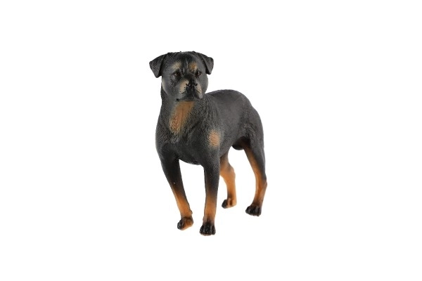 Rottweiler - pes domácí zooted plast 8cm v sáčku