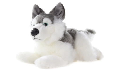 Husky 34 cm